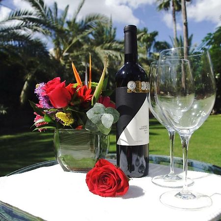 Los Milagros Hotel Cabo San Lucas Ngoại thất bức ảnh