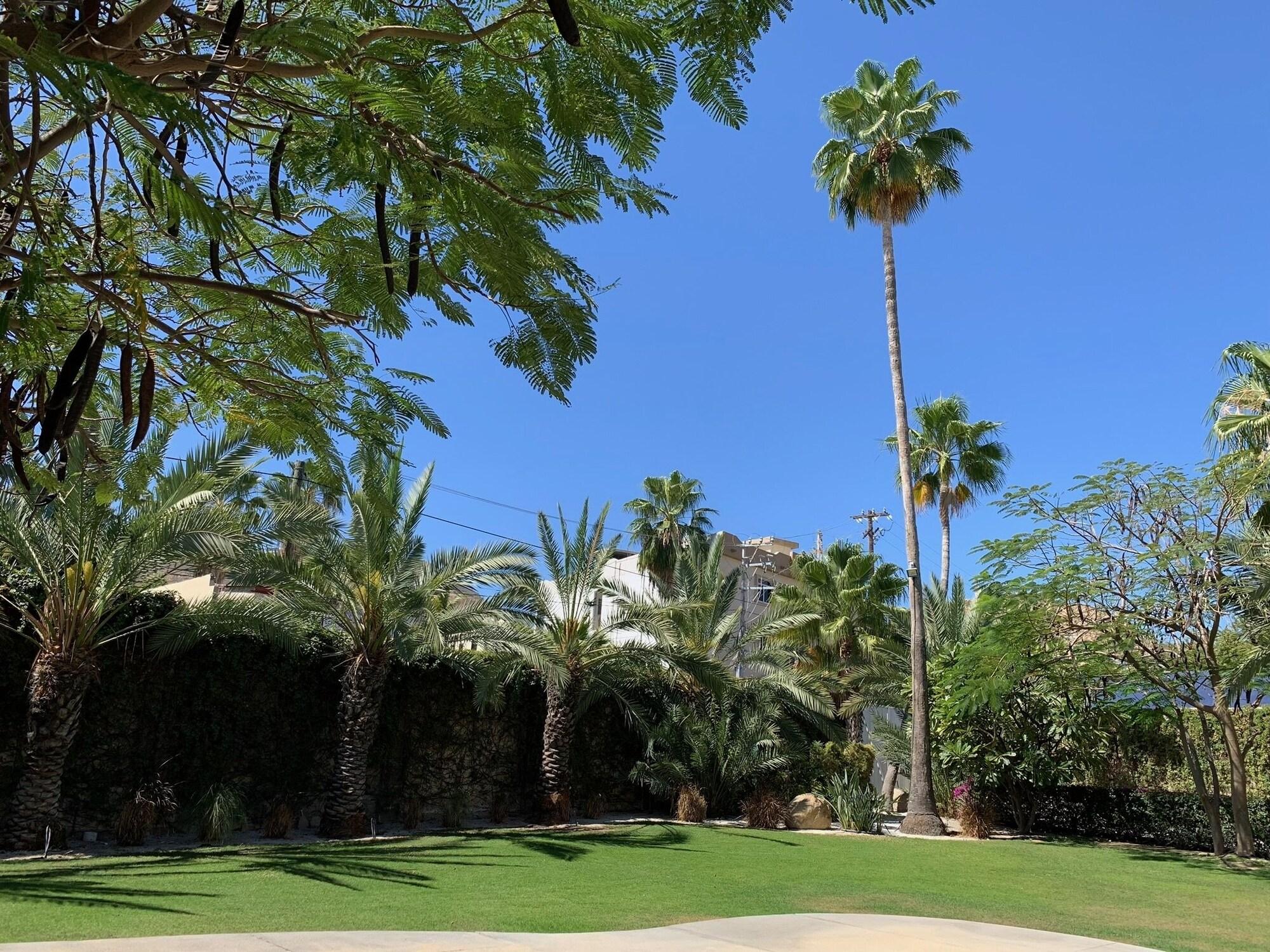 Los Milagros Hotel Cabo San Lucas Ngoại thất bức ảnh